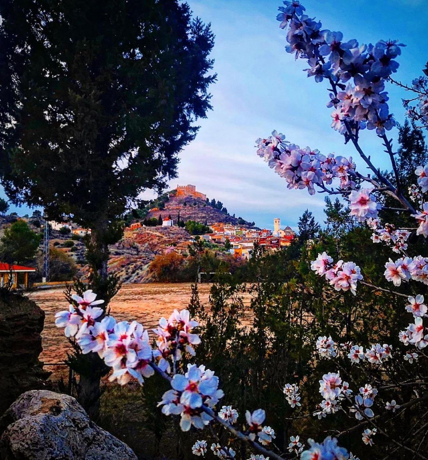 Apartamento Terra Rural - Casillas Valle De Ayora *